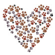 I love animals!