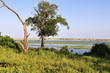 Foto: african landcape near Chobe river in Botswana african landcape near Chobe river in Botswana