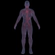 X-Ray picture of a person. Sore digestion