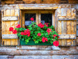 old window