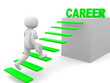 3d man climbs the ladder of career