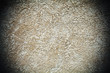 Photo: closeup wall closeup wall