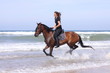 Foto: galopp am strand galopp am strand