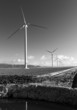 wind turbines farm