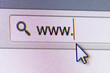 WWW Text in Address Bar