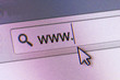 WWW Text in Address Bar