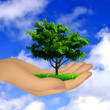 Vektor: Human hand with grass, tree and sky. Vector Human hand with grass, tree and sky. Vector