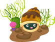 illustration coral and shells vector