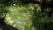 Green lake background