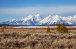 Photo: Grand Teton Grand Teton