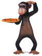 Fun monkey