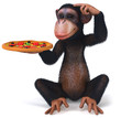 Fun monkey