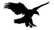 Vector: Adler auf Jagd Adler auf Jagd