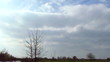 Video: cloudy sky and tree. NTSC Time lapse cloudy sky and tree. NTSC Time lapse