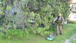 Gardener