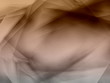 Abstract background, arc,line,wave