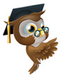 Wise Owl Pointing Sign
