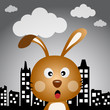 Rabbit in the city at night