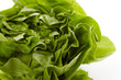 fresh lettuce