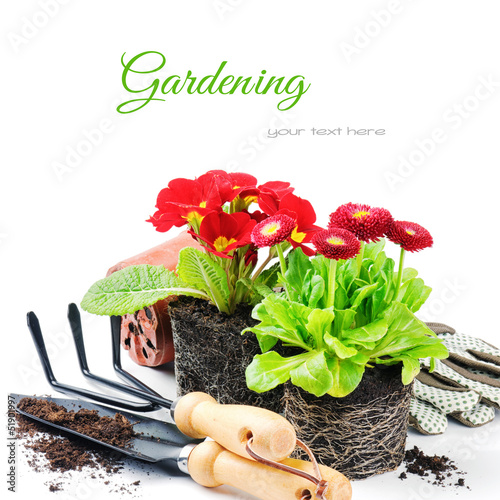 Photo: Red flowers with garden tools Red flowers with garden tools