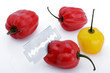 Foto: Habaneros Habaneros