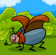 beetle insect cartoon illustration