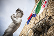 Quadro David di Michelangelo a Firenze