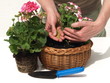 Garden work
