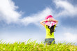 young woman stand in the grass field watching the cloud