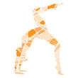 Yoga Vektor