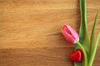 Tulpe mit rotem Herz