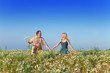 Photo: The happy young pair in the field of chamomiles The happy young pair in the field of chamomiles