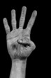 Hand on black palm - four