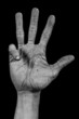 Hand on black palm - four
