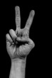 Hand on black palm - two