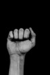 Hand on black palm - zero