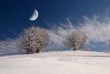 moon in the sky over snowy field