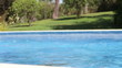 Video: Boy Jumps Into Swimming Pool Then Swims Across Pool Boy Jumps Into Swimming Pool Then Swims Across Pool