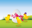 Chickens and egg on meadow