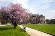 Foto: Dresden Palais im Großen Garten Dresden Palais im Großen Garten
