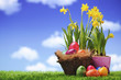 Easter Eggs With Daffodils