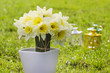 Bouquet of daffodils on fresh green grass. Symbol of spring and