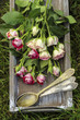 Garden party decor. Bouquet of pink roses
