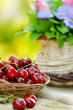 Red cherry - fruit