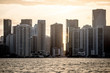 Coast of Miami