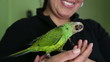 Video: Pretty pet parrot Pretty pet parrot