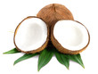 Coconuts with leaves on a white background