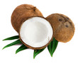 Coconuts with leaves on a white background