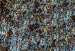 bronze seamless background