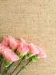 carnation on the linen pattern